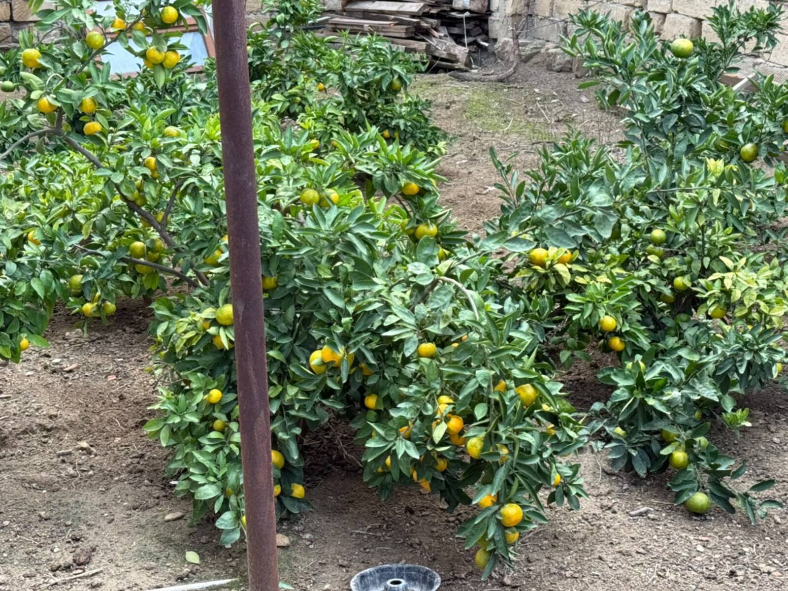 3 otaqlı Həyət evi/Bağ evi, Masazır q., Bakı