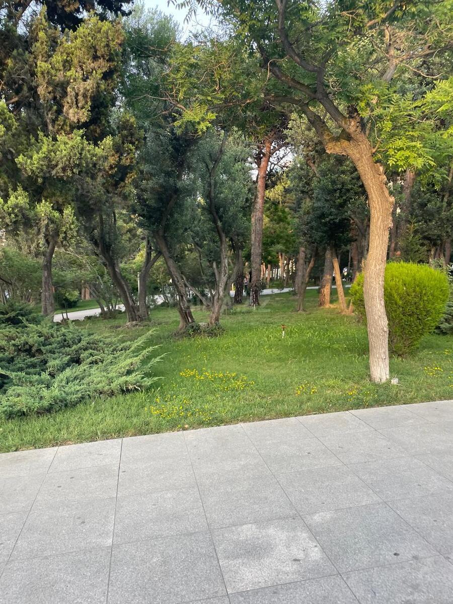 3 otaqlı Yeni tikili, Elmlər Akademiyası m., Bakı