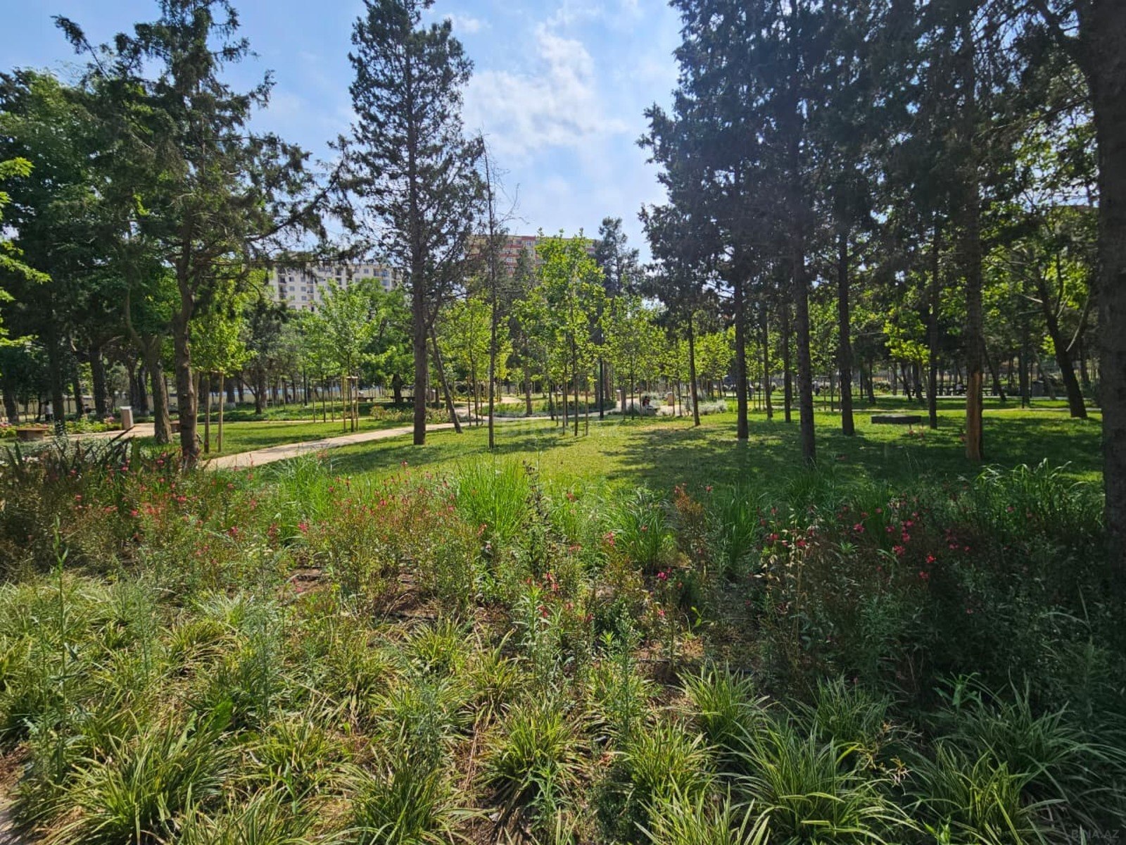 2-room apartment for sale, Narimanov, Baku