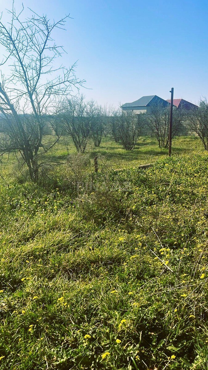 Земельный участок на продажу, Новханы, Апшерон