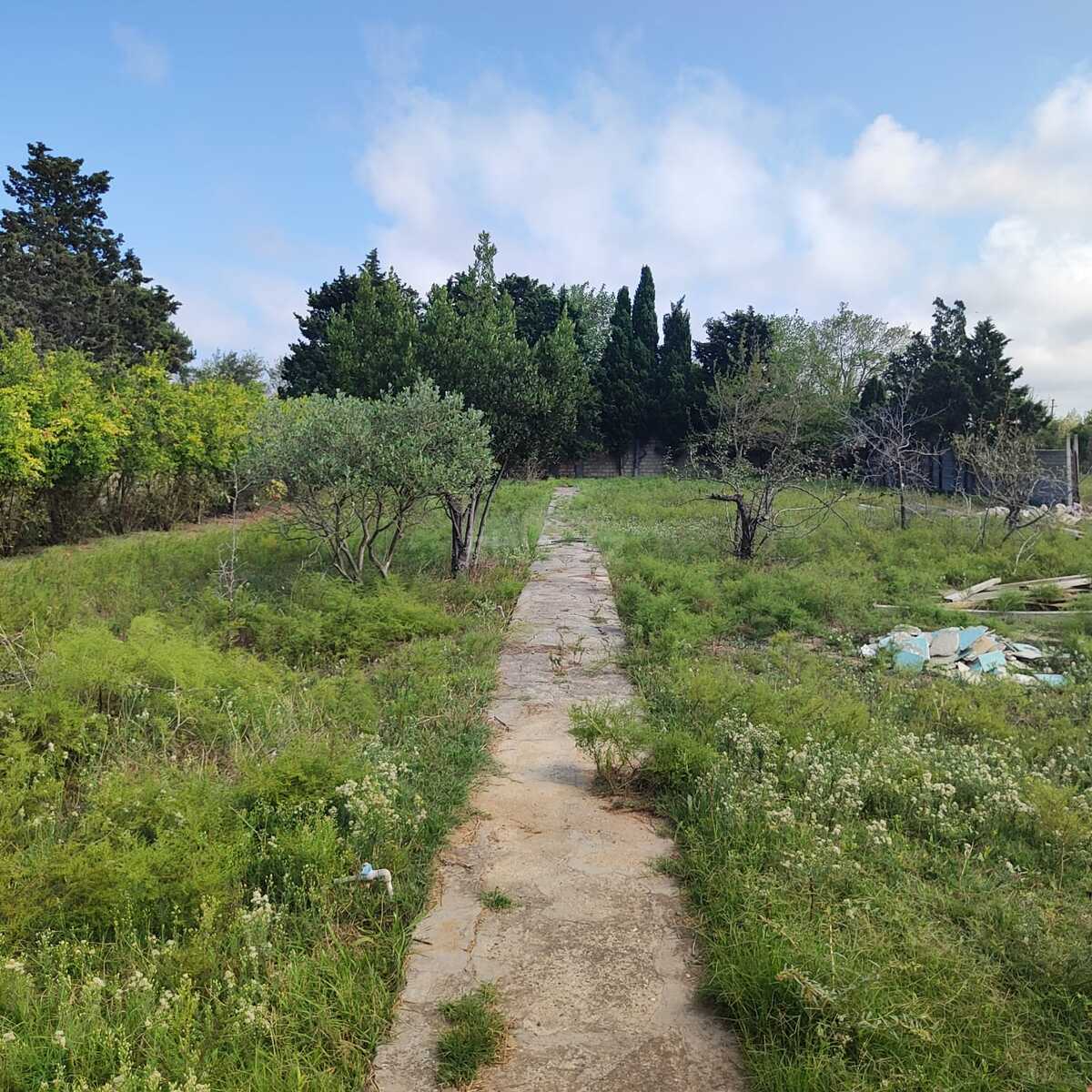 Torpaq satılır, Fatmayı, Abşeron