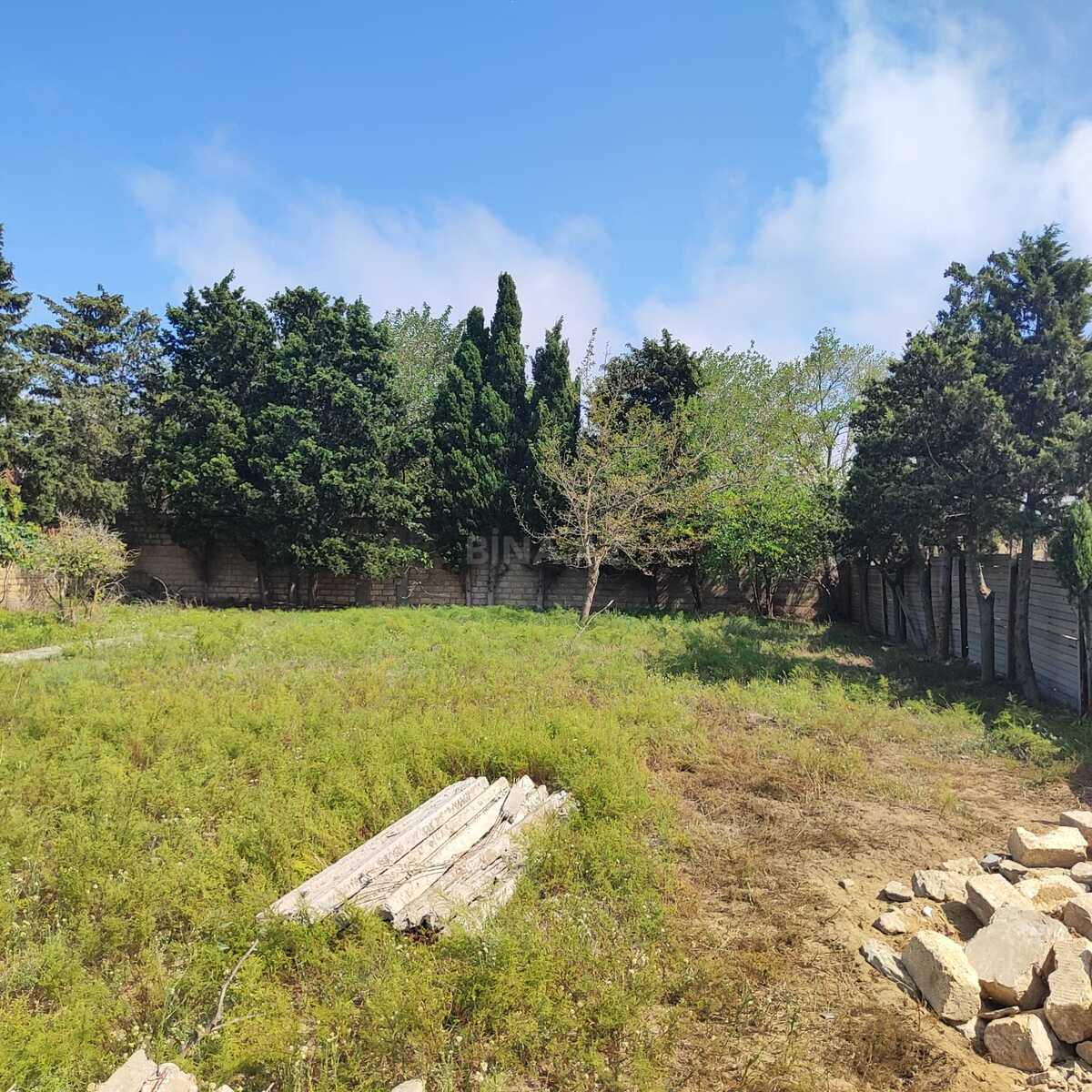 Torpaq satılır, Fatmayı, Abşeron