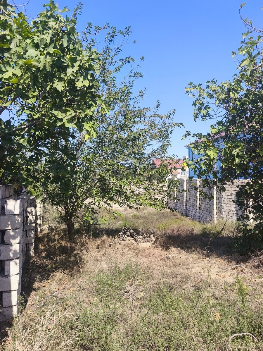 Land for sale, Mardakan, Baku