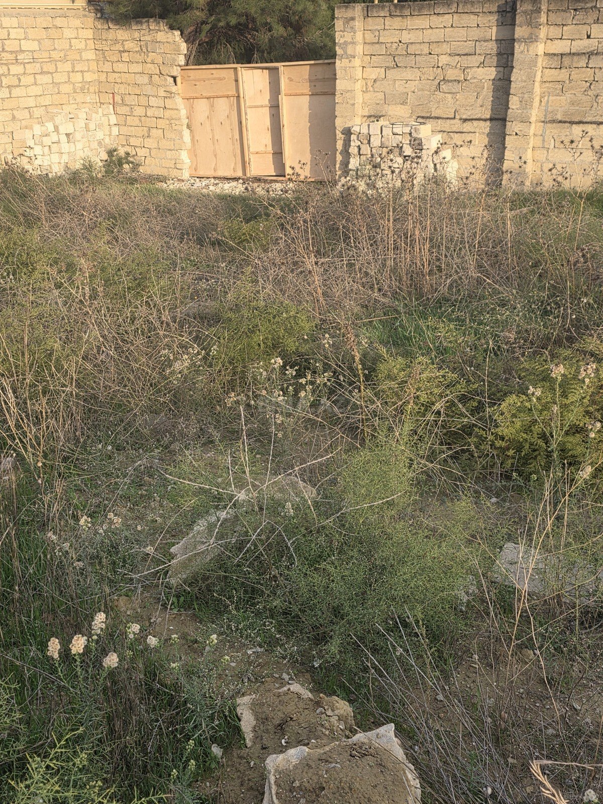 Land for sale, Badamdar, Baku