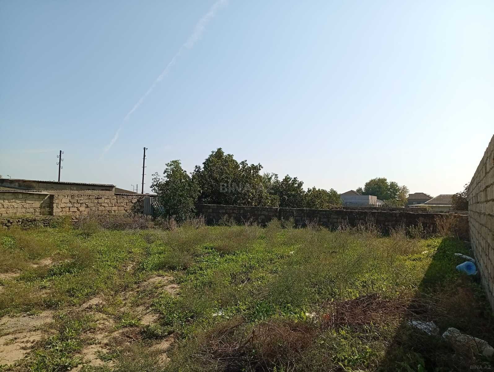 Torpaq satılır, Bilgəh, Bakı