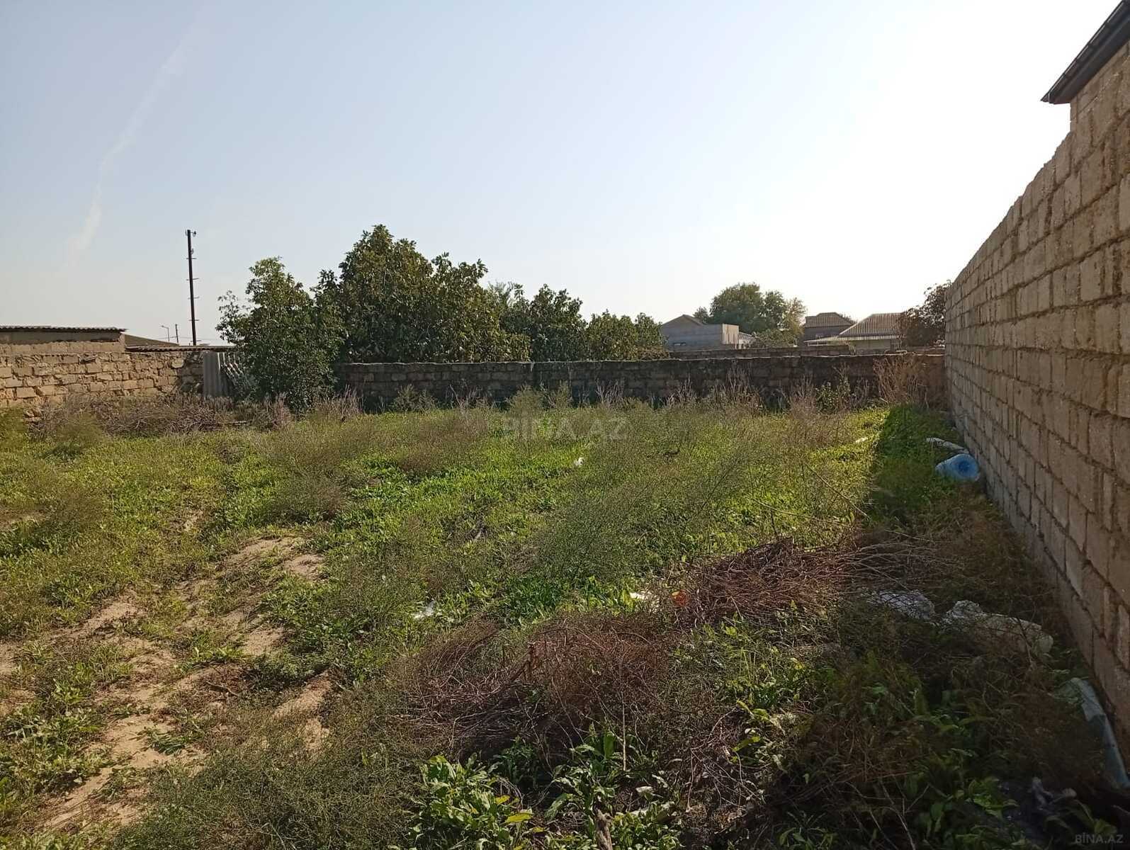 Torpaq satılır, Bilgəh, Bakı