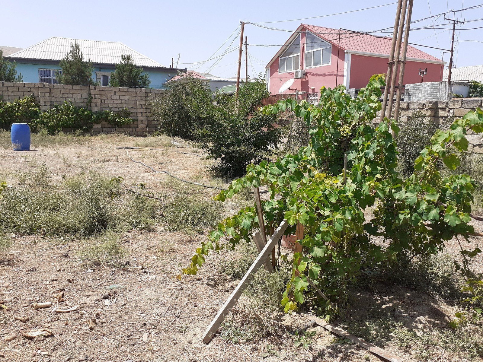 Torpaq satılır, Xocəsən, Bakı