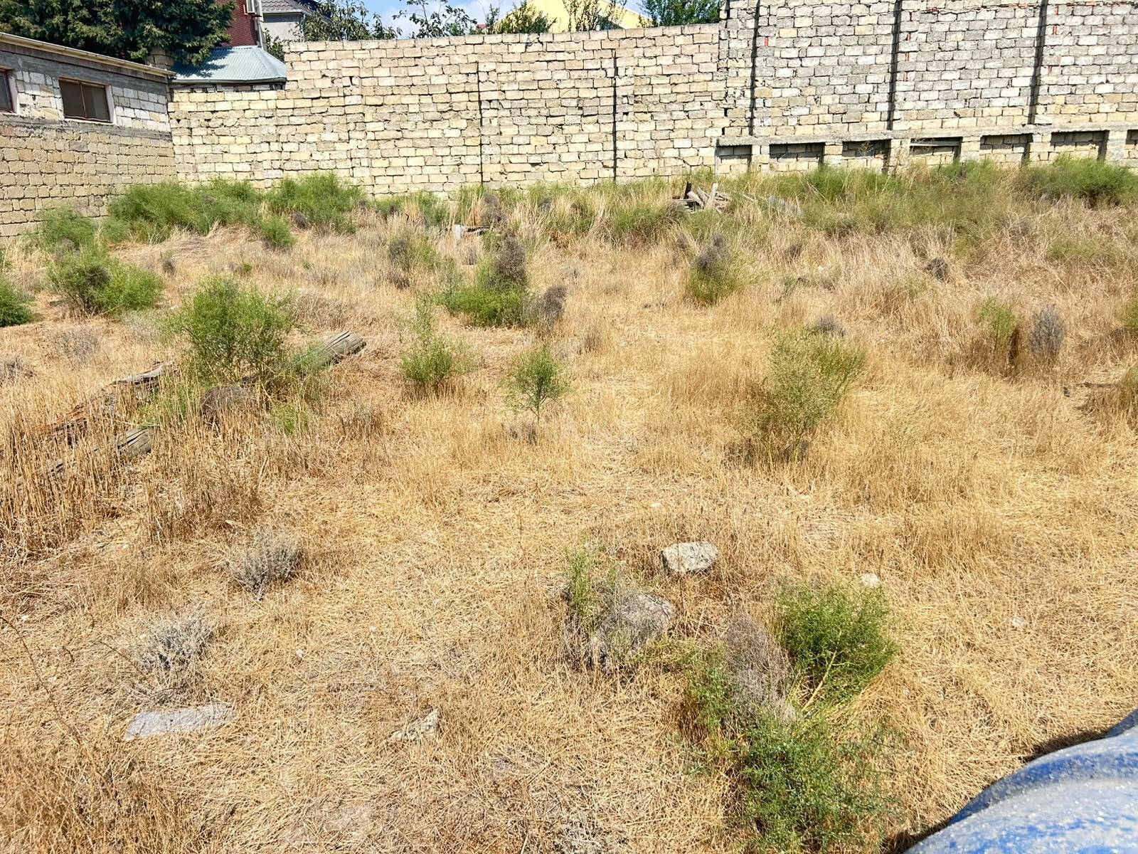 Torpaq satılır, Badamdar, Bakı