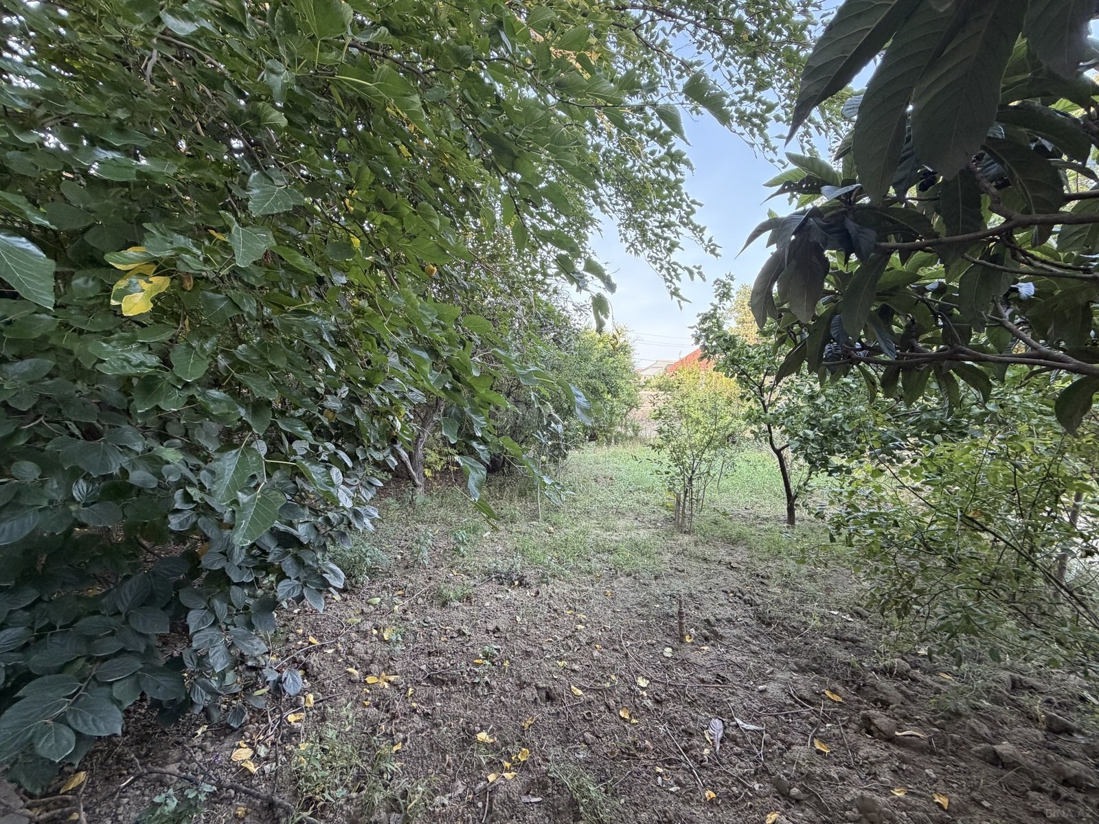 Land for sale, Baku