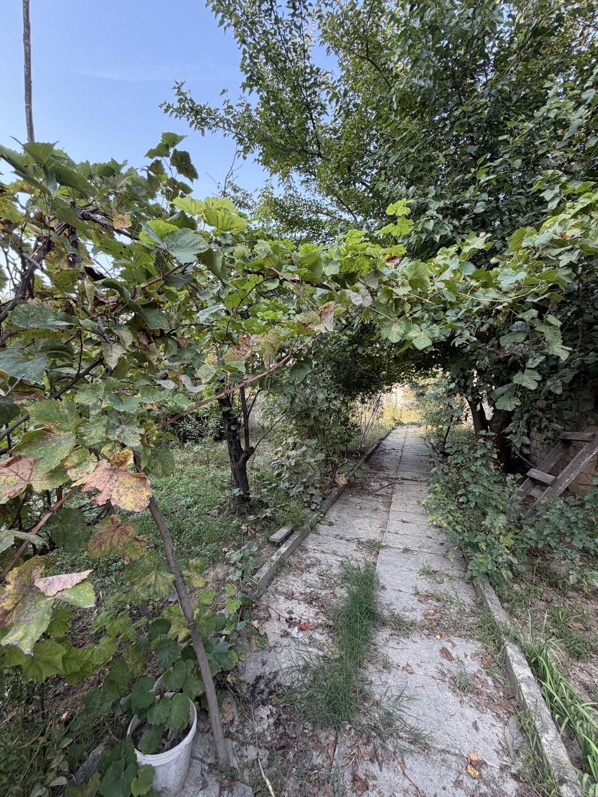 Land for sale, Baku