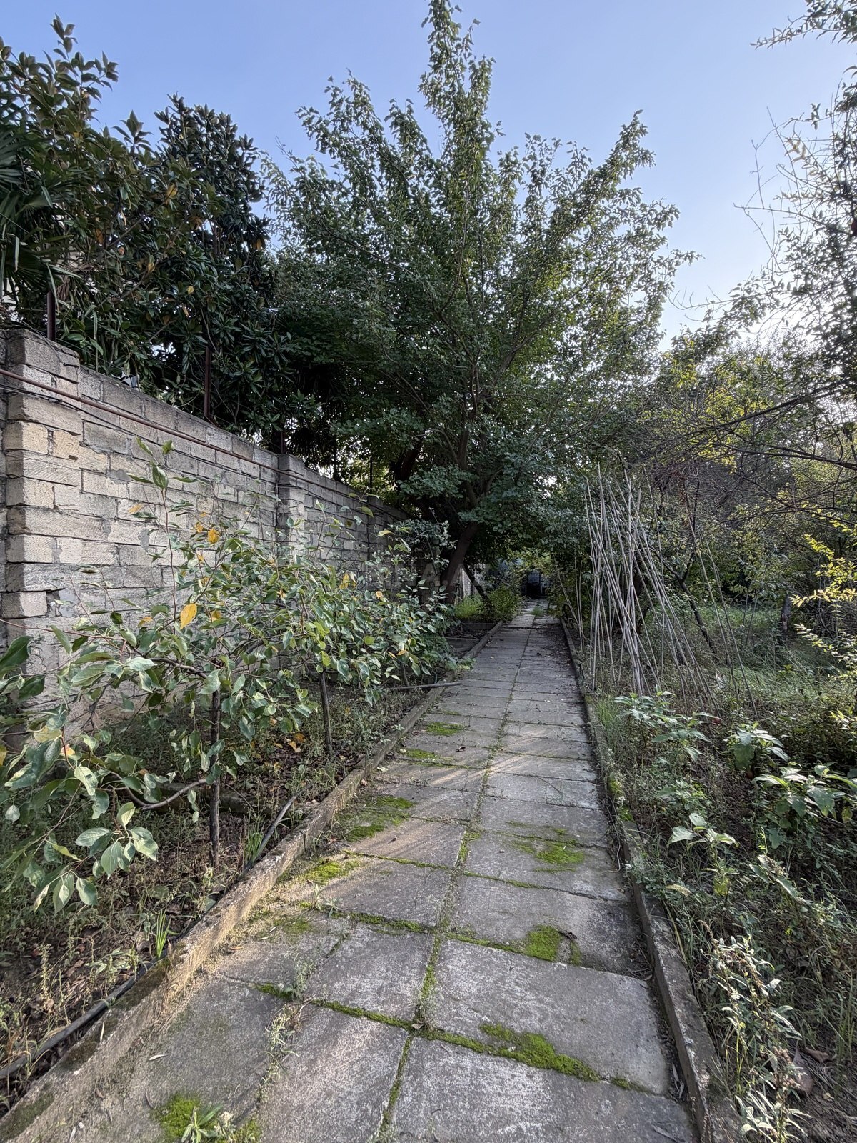 Land for sale, Baku