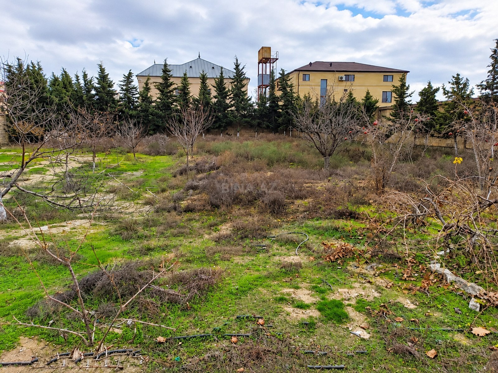 Torpaq satılır, Badamdar, Bakı