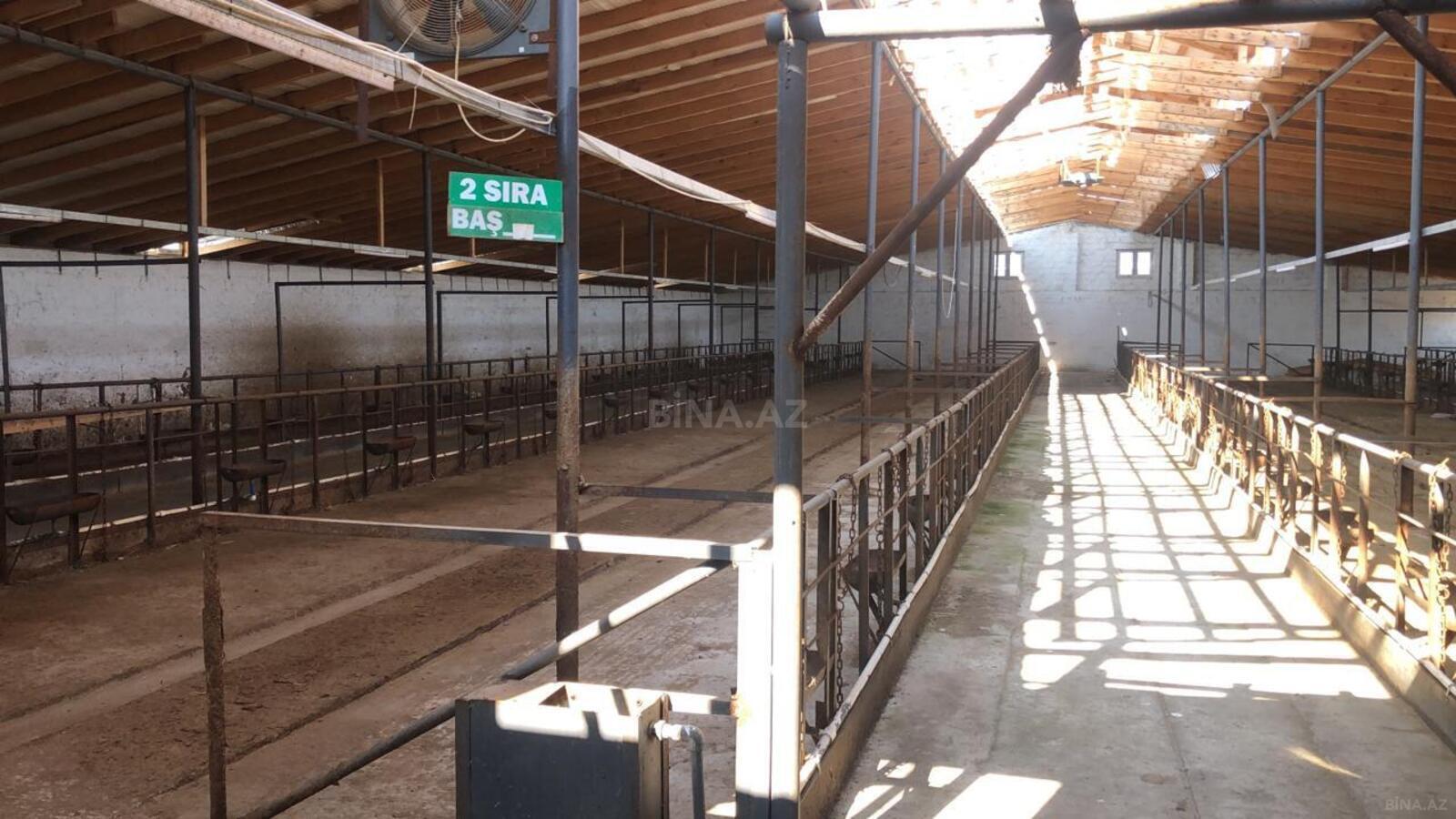 Commercial property for sale, Kurdakhani, Baku