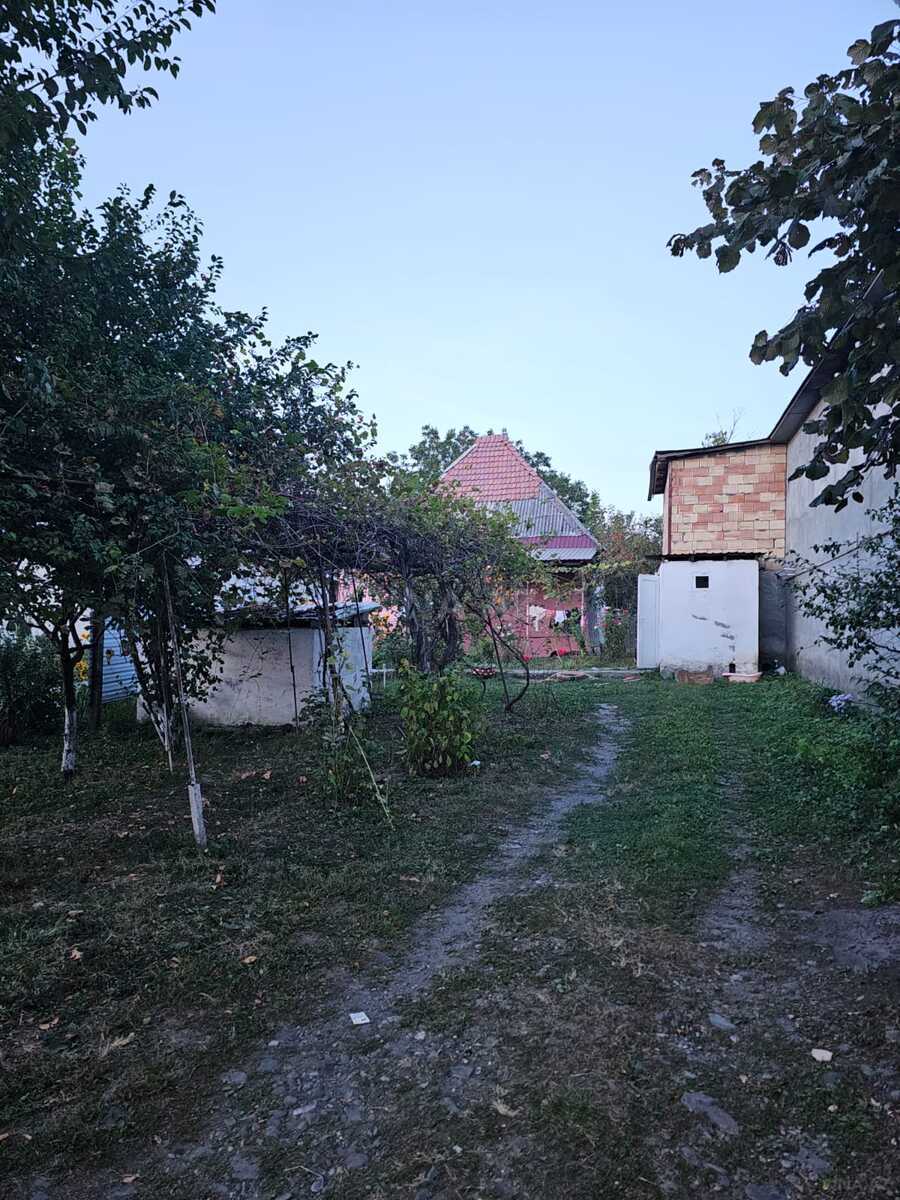 Land for sale, Gabala, Gabala