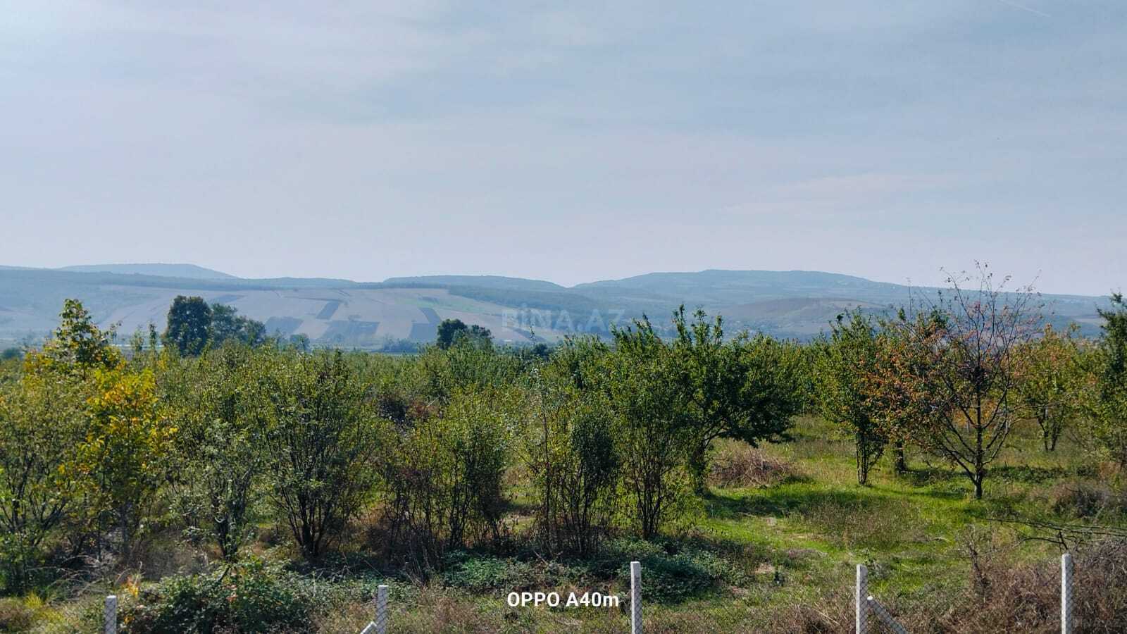 Land for sale, Ismayilli, Ismayilli