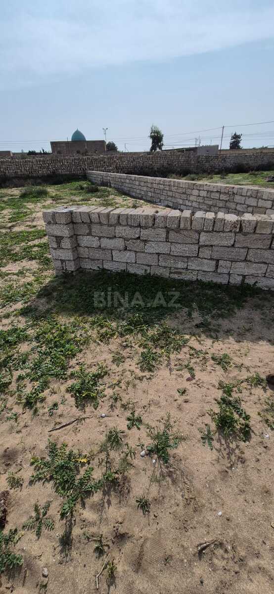 Torpaq satılır, Türkan, Bakı