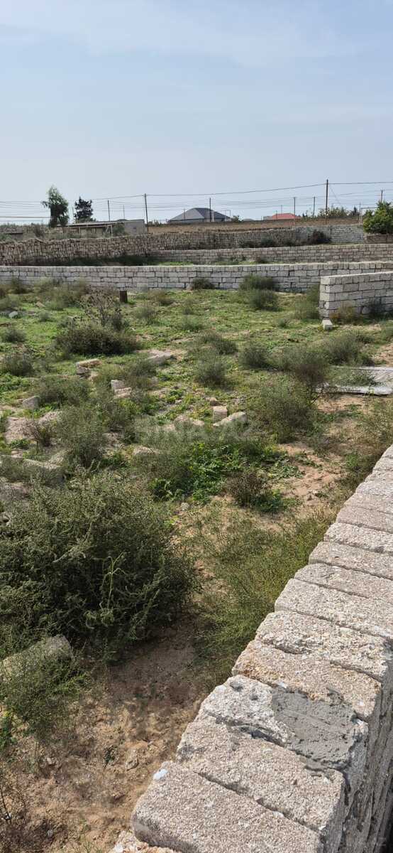 Torpaq satılır, Türkan, Bakı