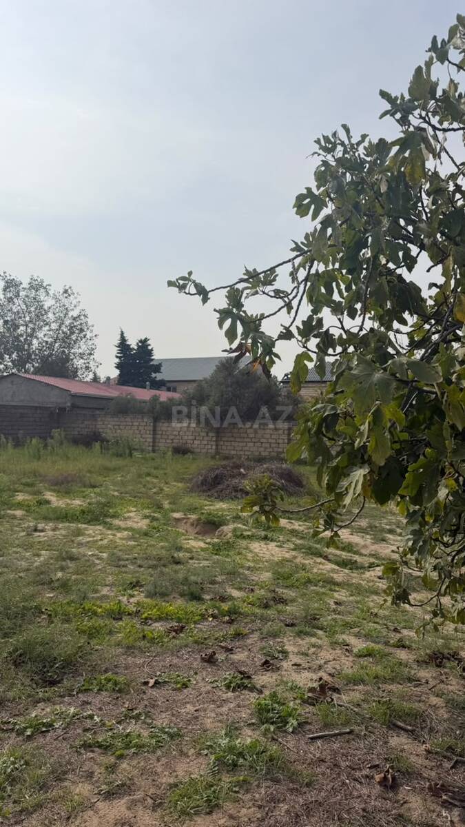 Land for sale, Novkhani, Absheron