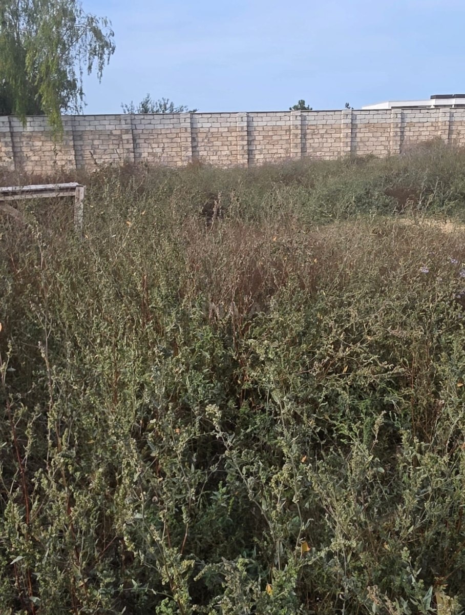 Land for sale, Mardakan, Baku