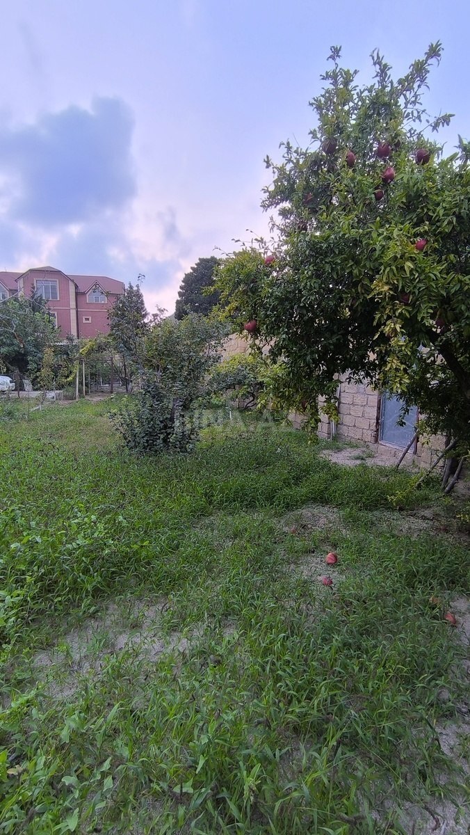 Land for sale, Novkhani, Absheron