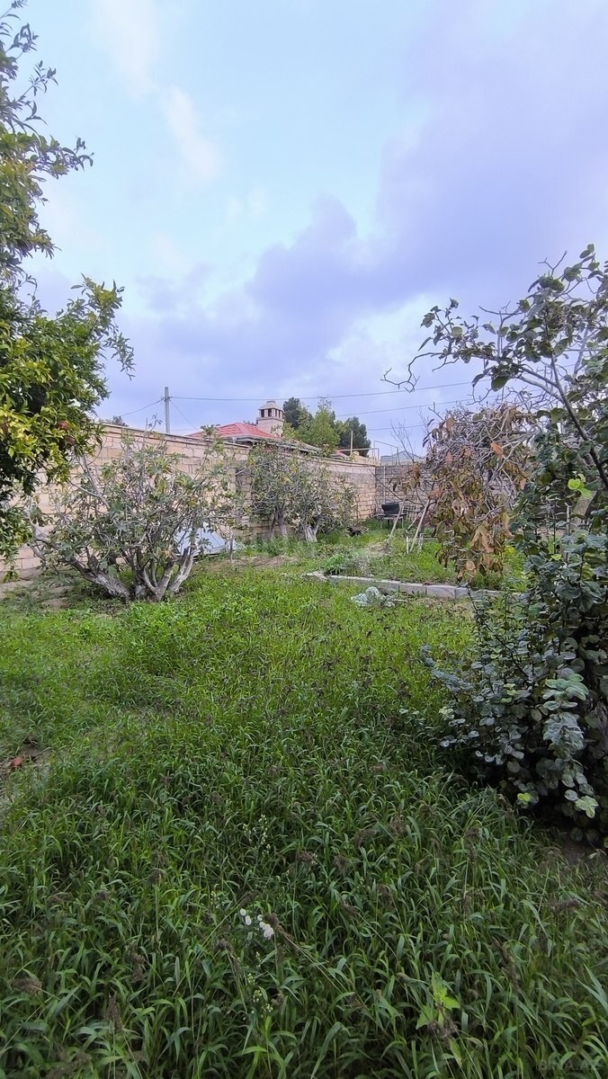 Land for sale, Novkhani, Absheron