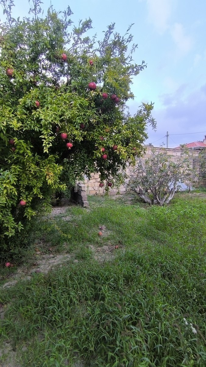 Land for sale, Novkhani, Absheron