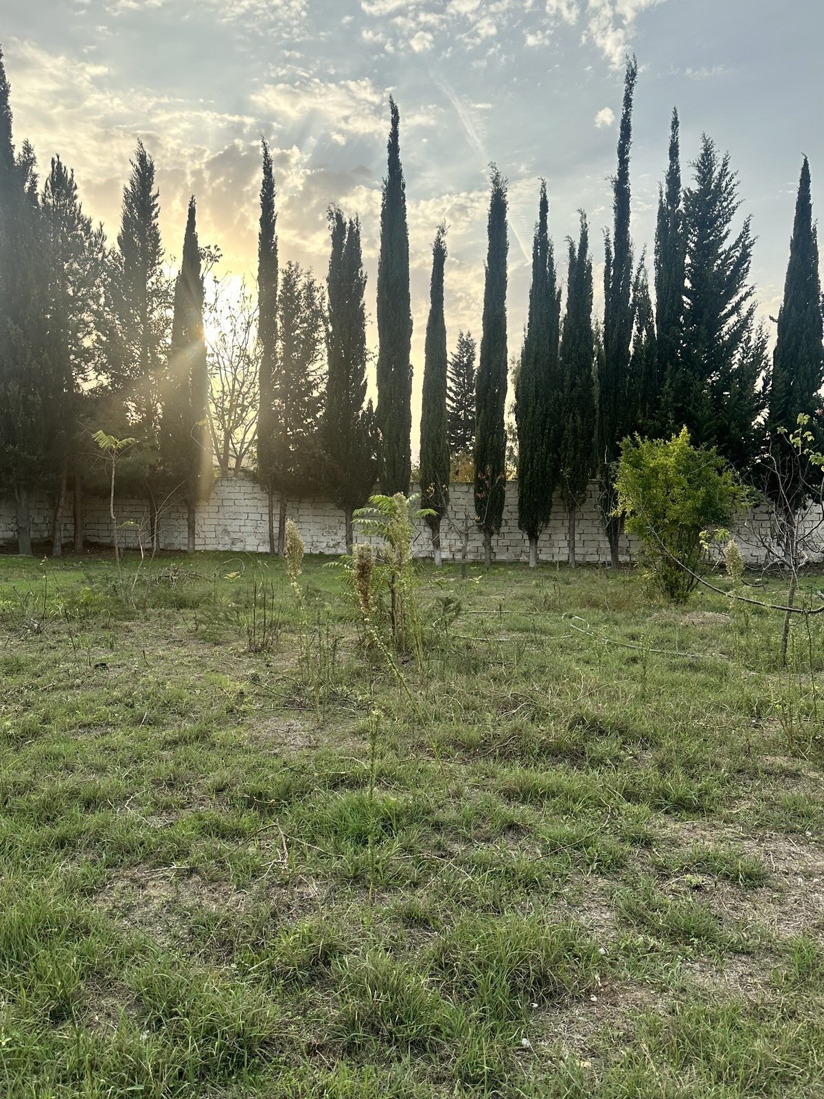 Land for sale, Goradil, Absheron