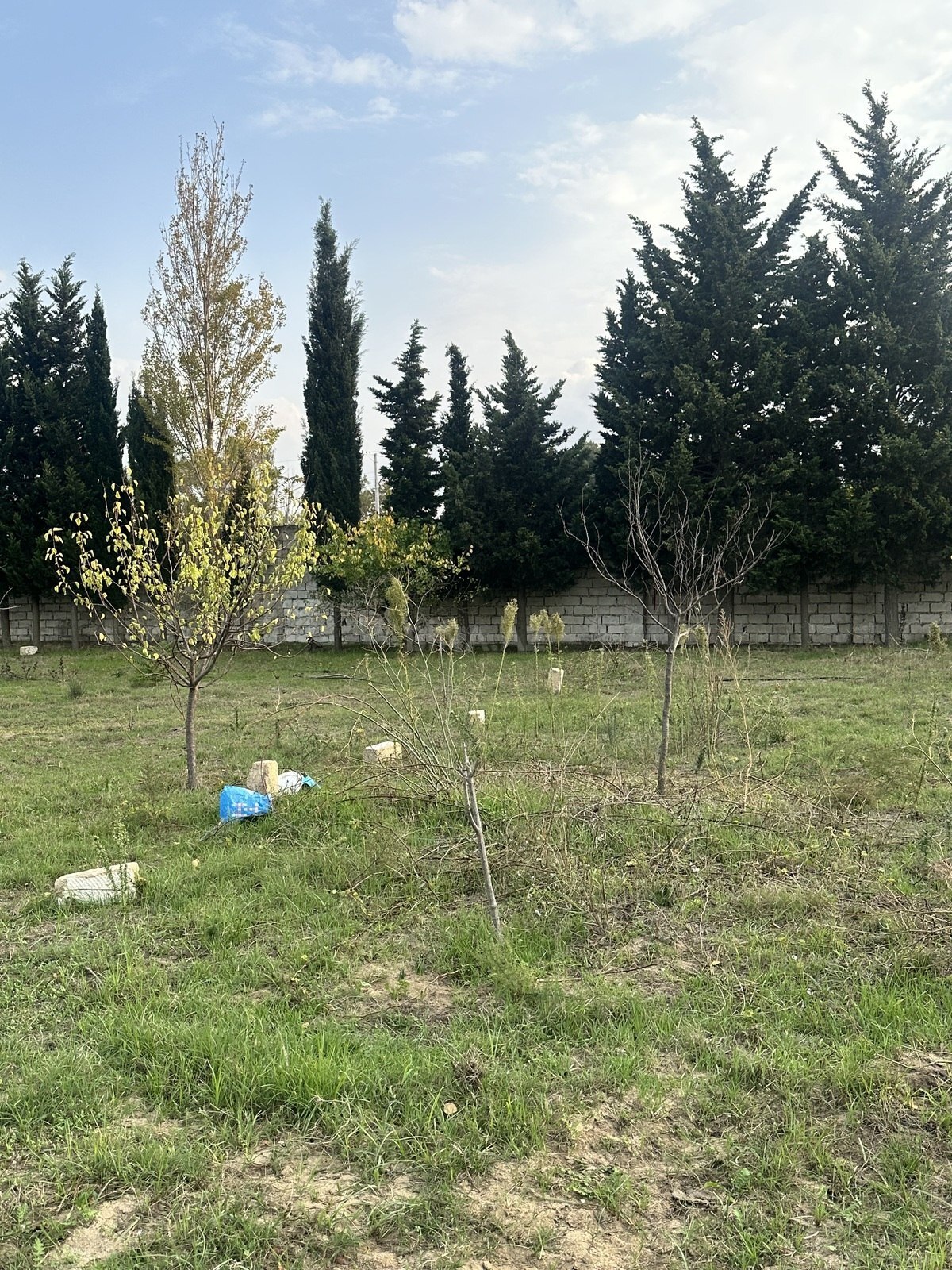 Land for sale, Goradil, Absheron