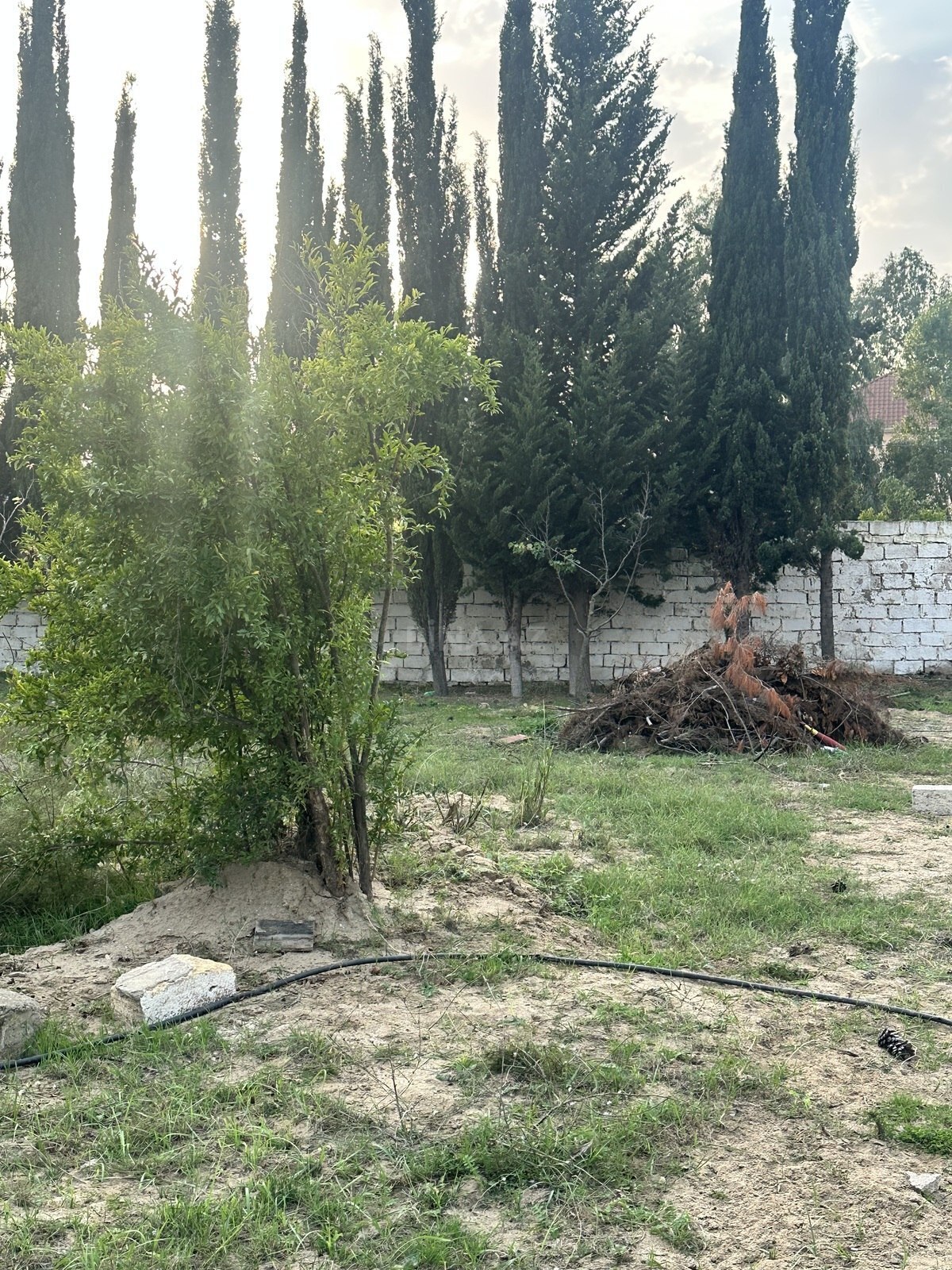 Land for sale, Goradil, Absheron