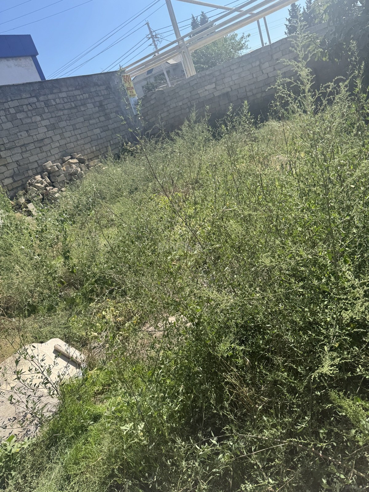 Torpaq satılır, Biləcəri, Bakı
