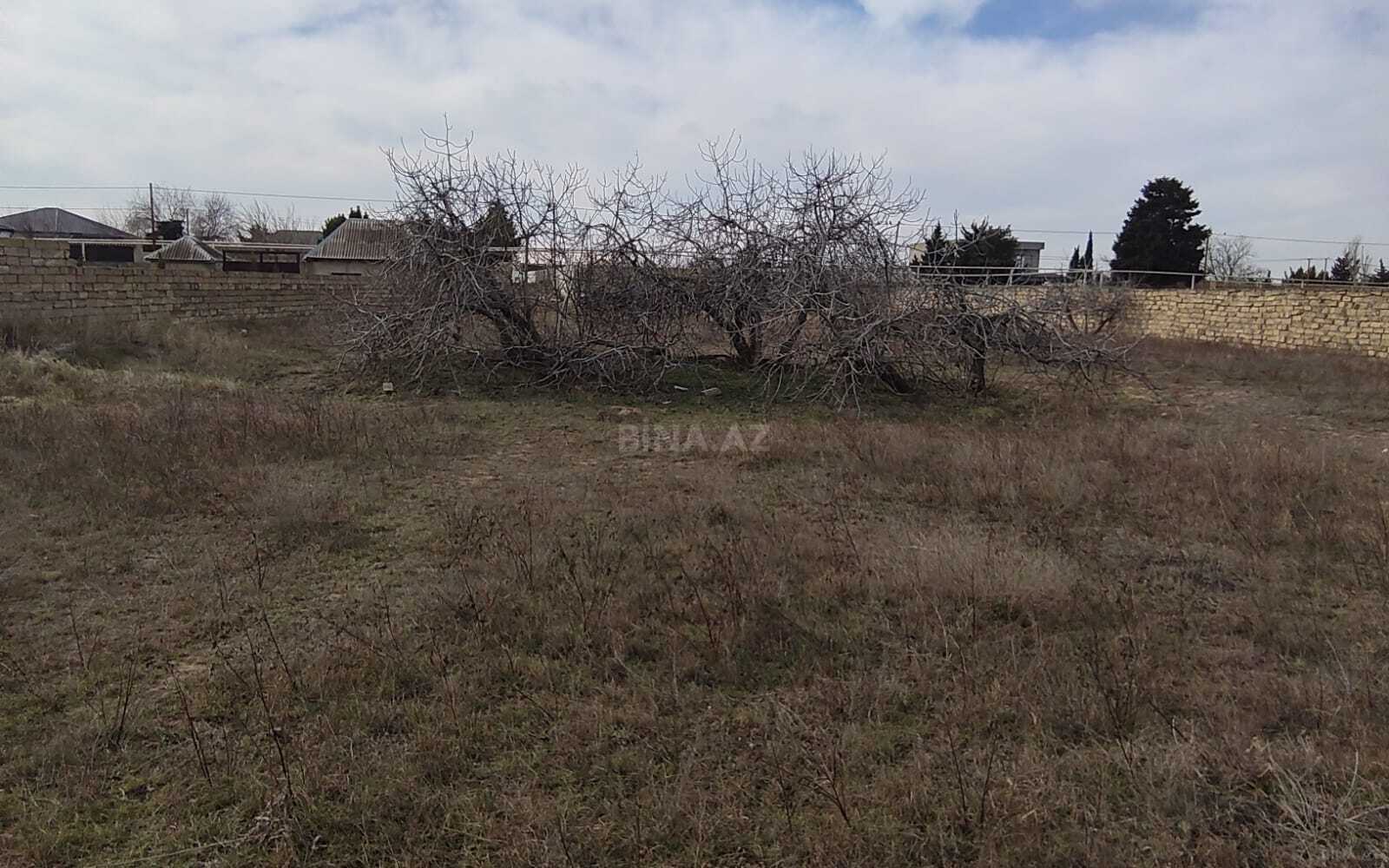 Torpaq satılır, Nardaran, Bakı