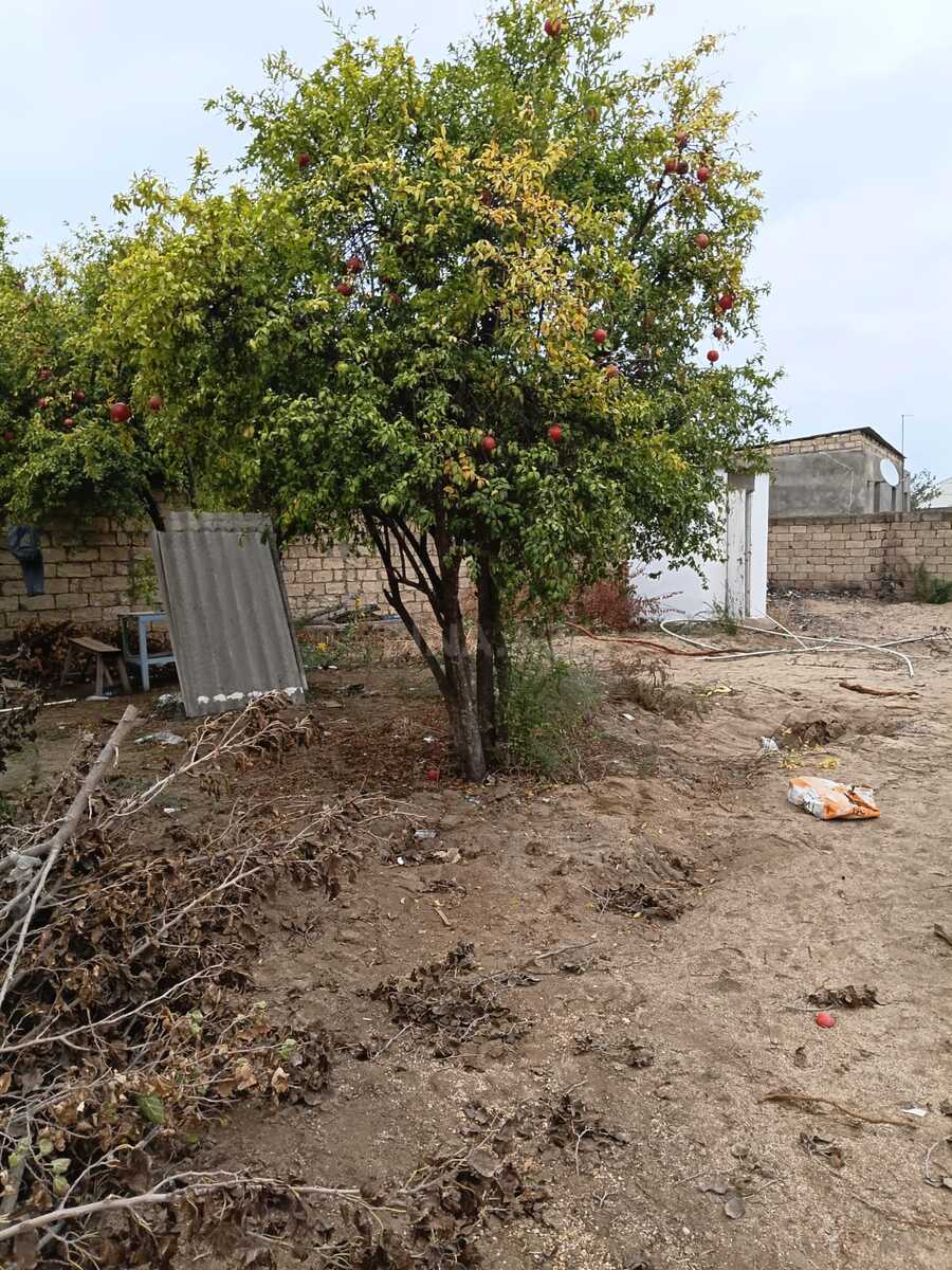 Torpaq satılır, Sumqayıt