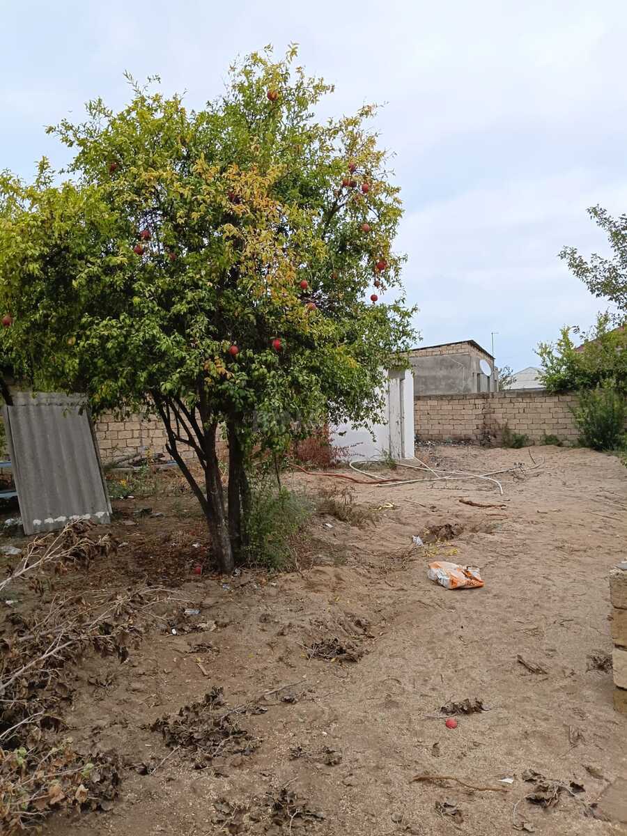 Torpaq satılır, Sumqayıt