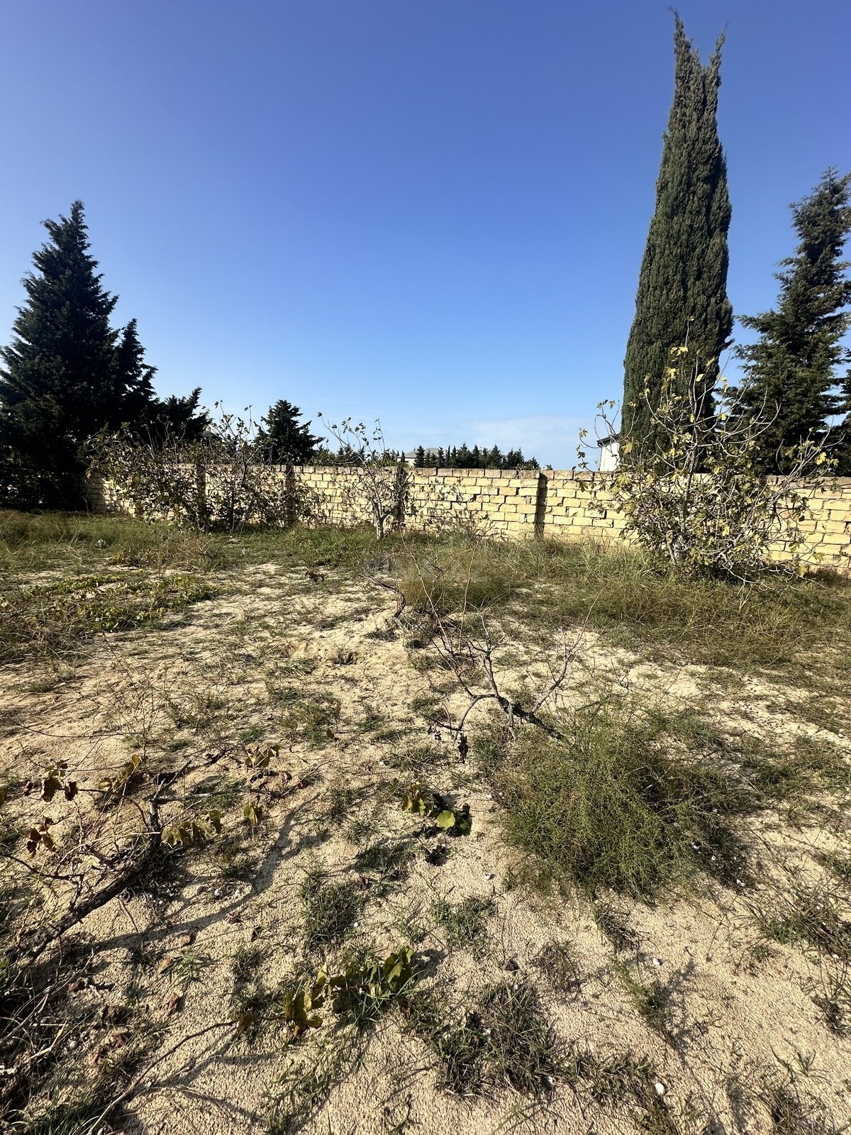 Land for sale, Goradil, Absheron
