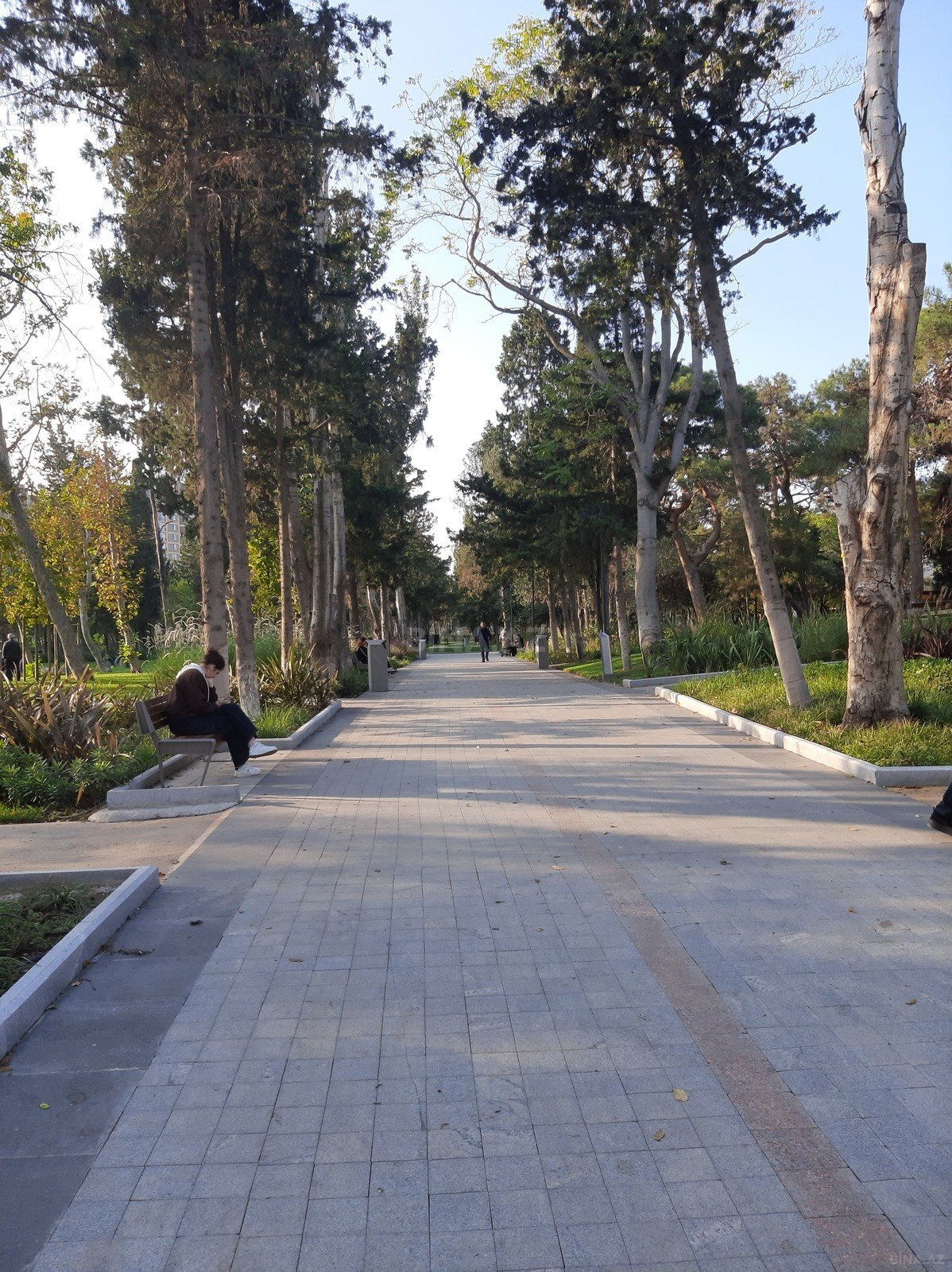 3-комн. квартира в аренду, Нариманов, Баку