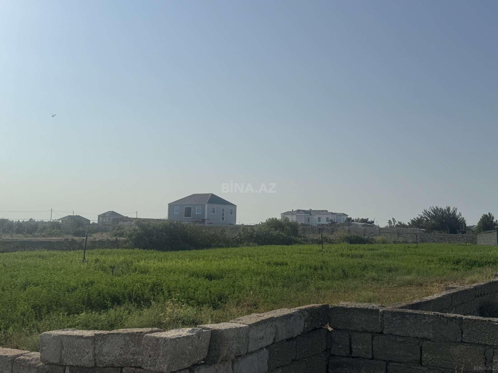 Torpaq satılır, Türkan, Bakı