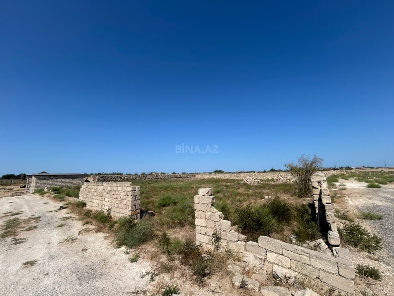 Torpaq satılır, Türkan, Bakı