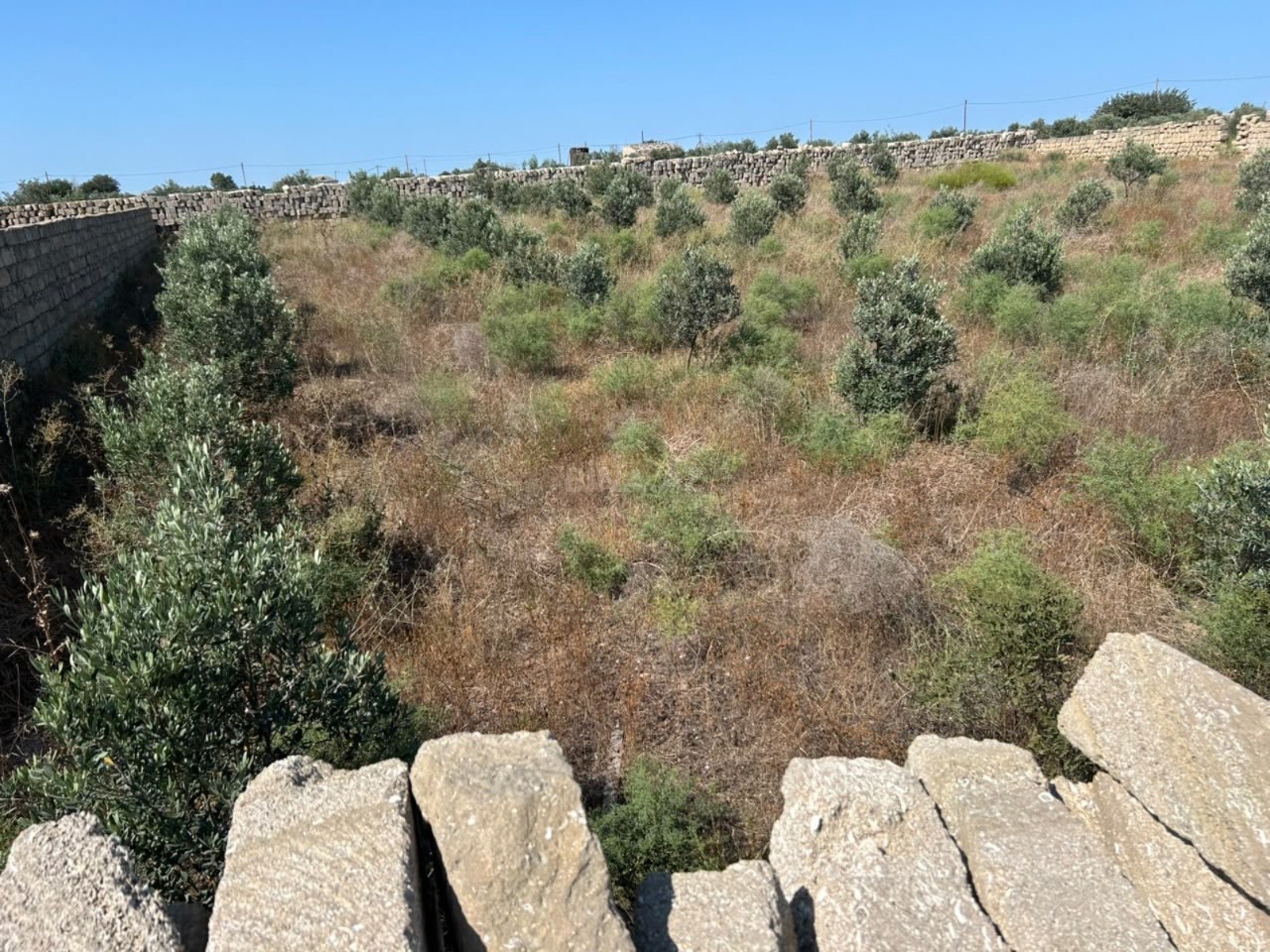 Torpaq satılır, Türkan, Bakı