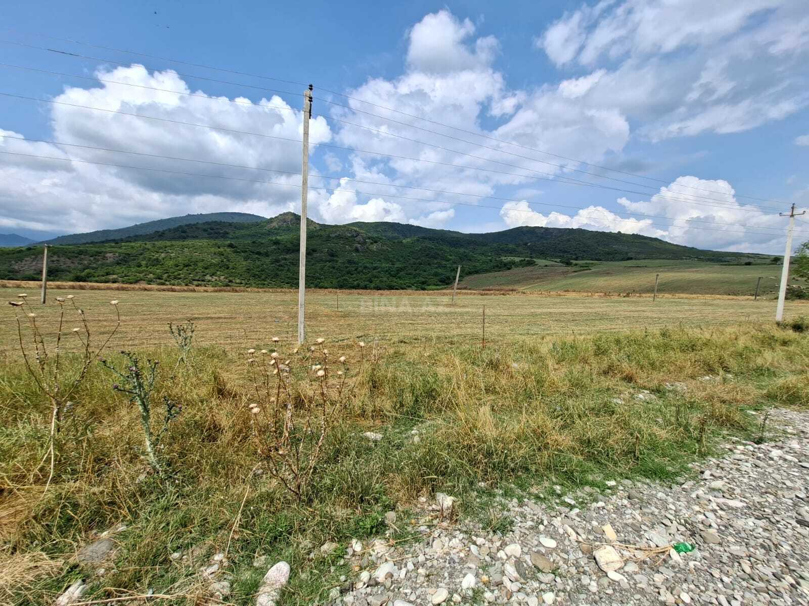 Land for sale, Ismayilli, Ismayilli