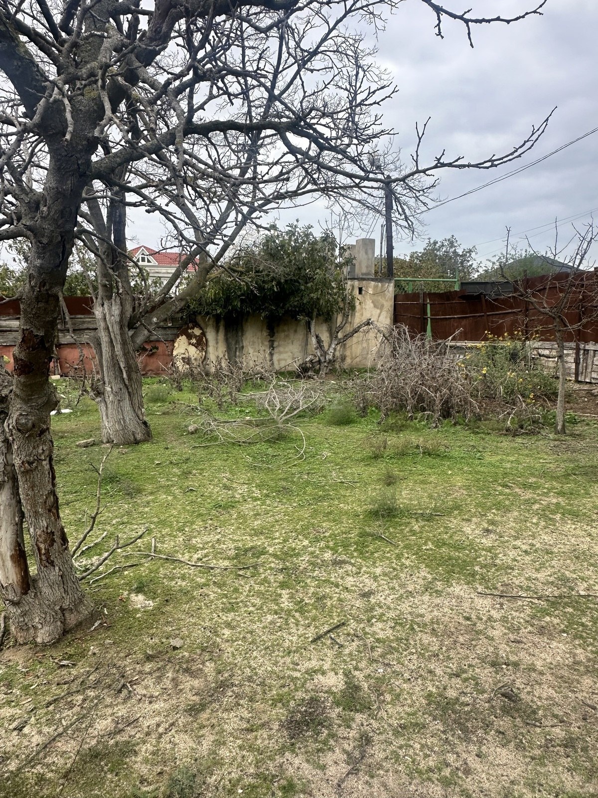 Torpaq satılır, Görədil, Abşeron