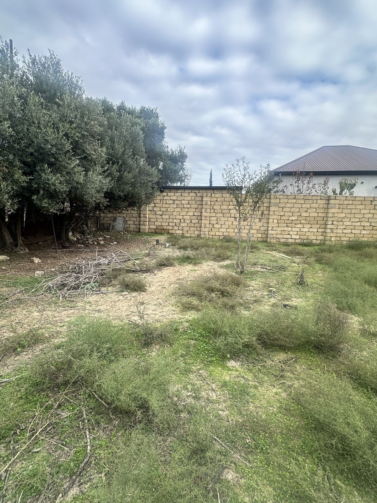 Torpaq satılır, Görədil, Abşeron