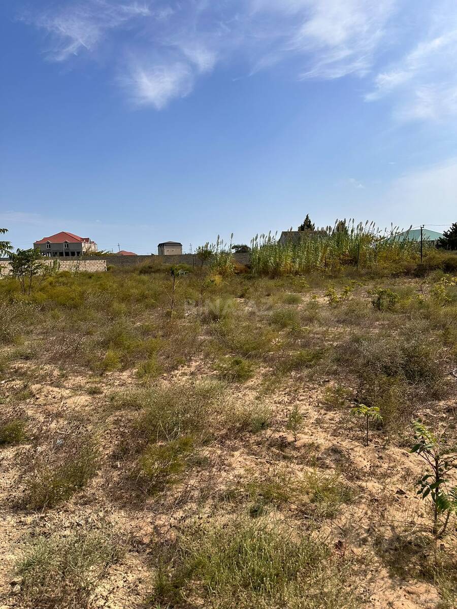 Torpaq satılır, Nardaran, Bakı