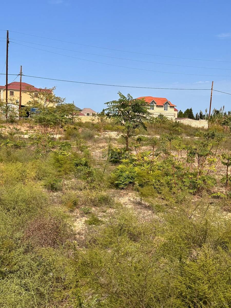 Torpaq satılır, Nardaran, Bakı