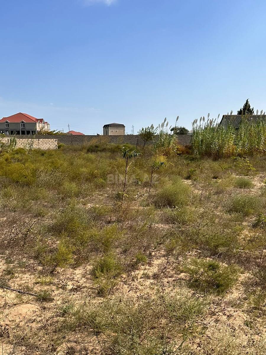 Torpaq satılır, Nardaran, Bakı
