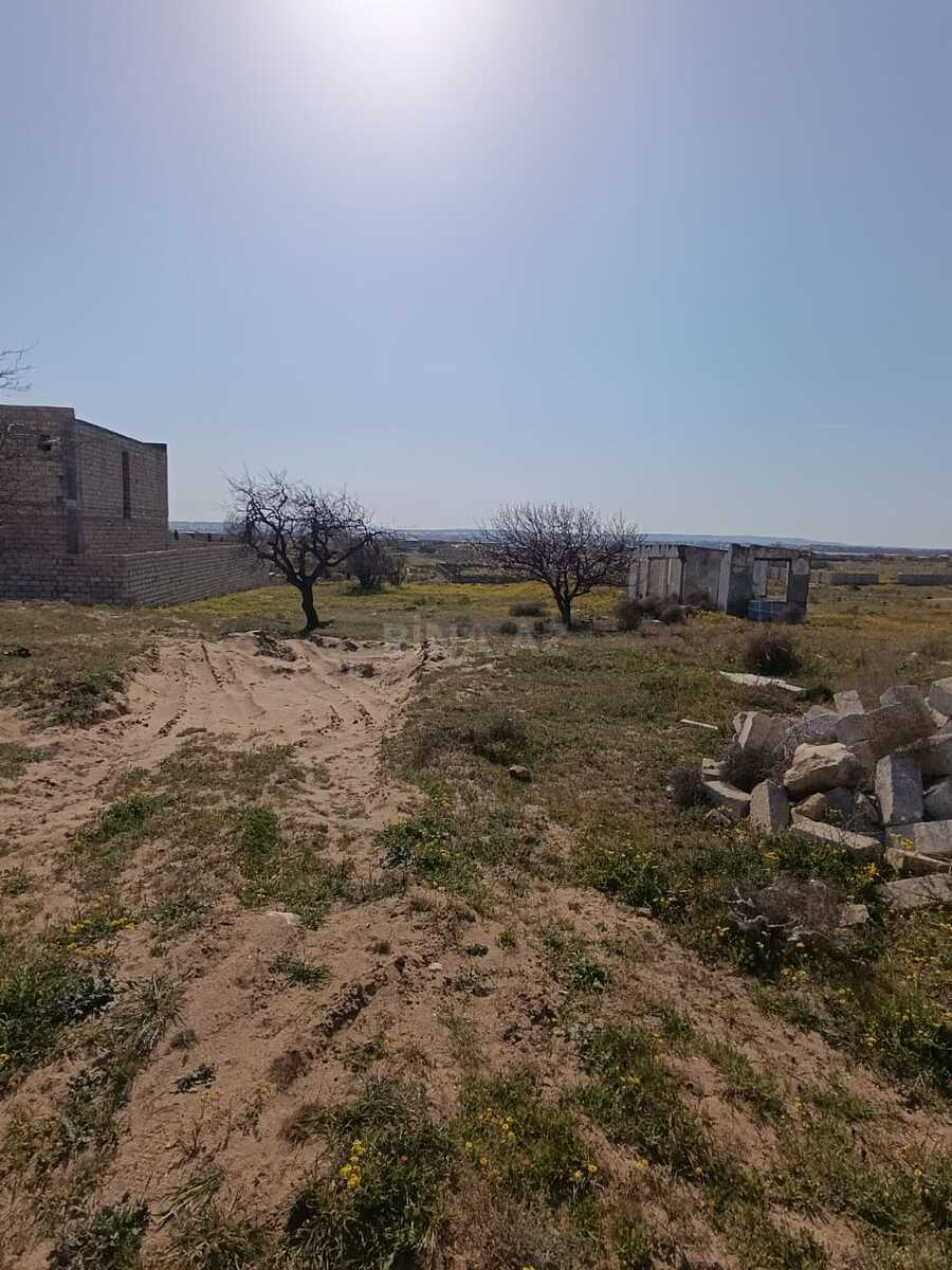 Torpaq satılır, Nardaran, Bakı