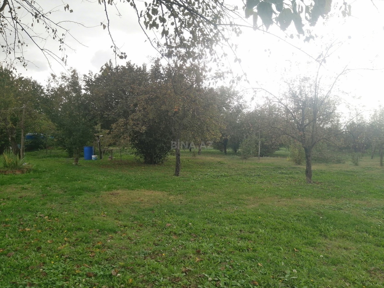 Land for sale, Ismayilli, Ismayilli