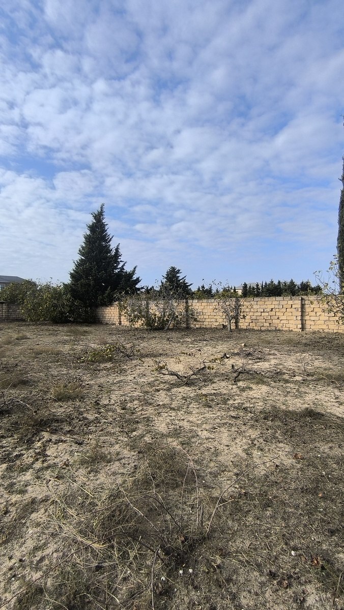 Torpaq satılır, Görədil, Abşeron