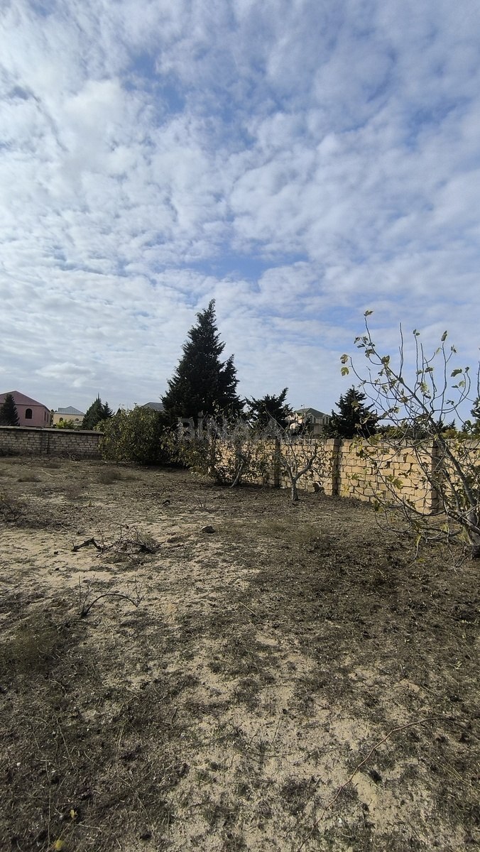 Torpaq satılır, Görədil, Abşeron