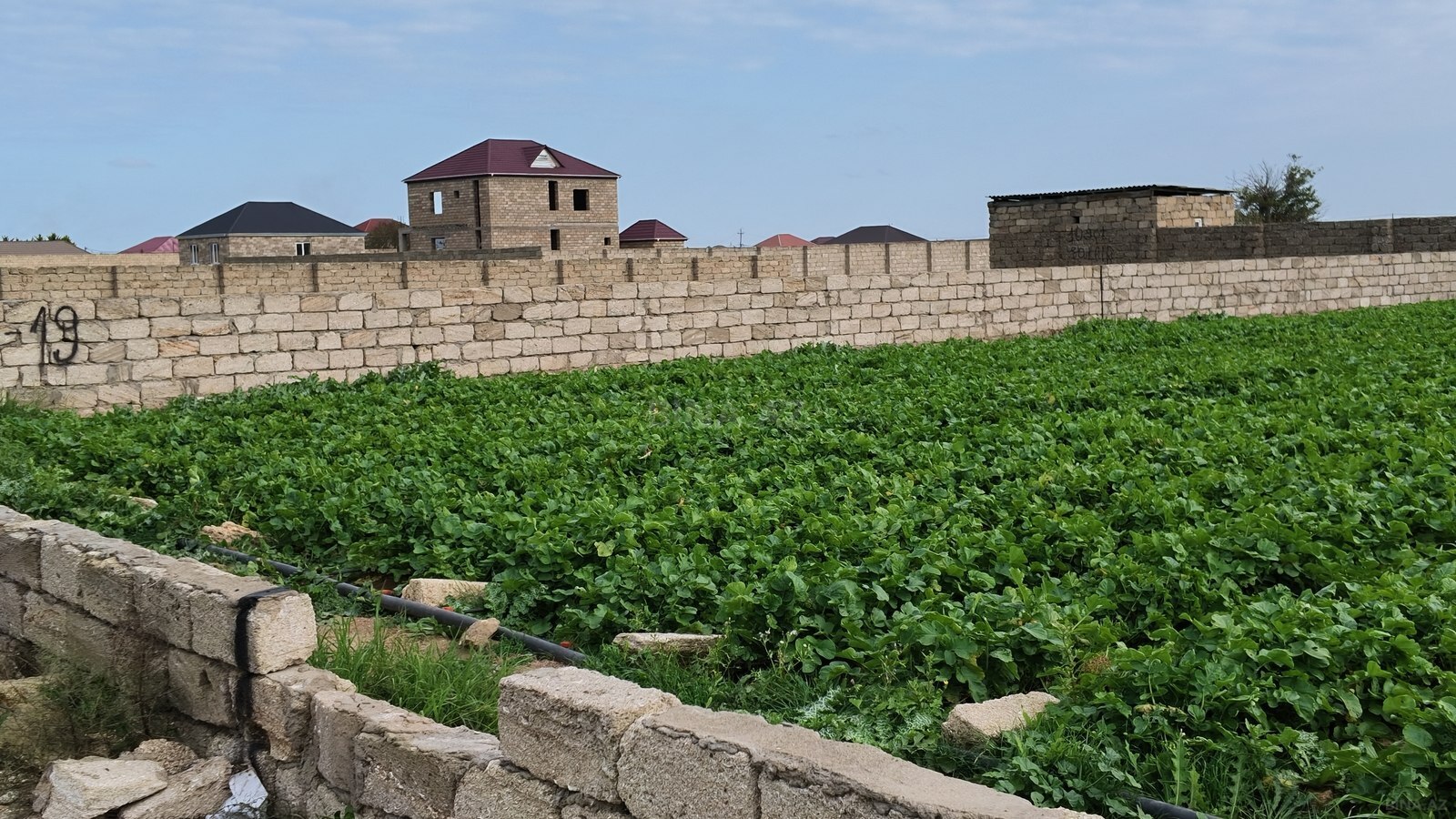 Land for sale, Buzovna, Baku