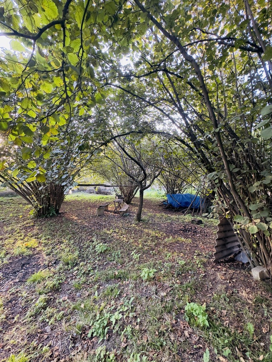Land for sale, Nohurgishlag, Gabala
